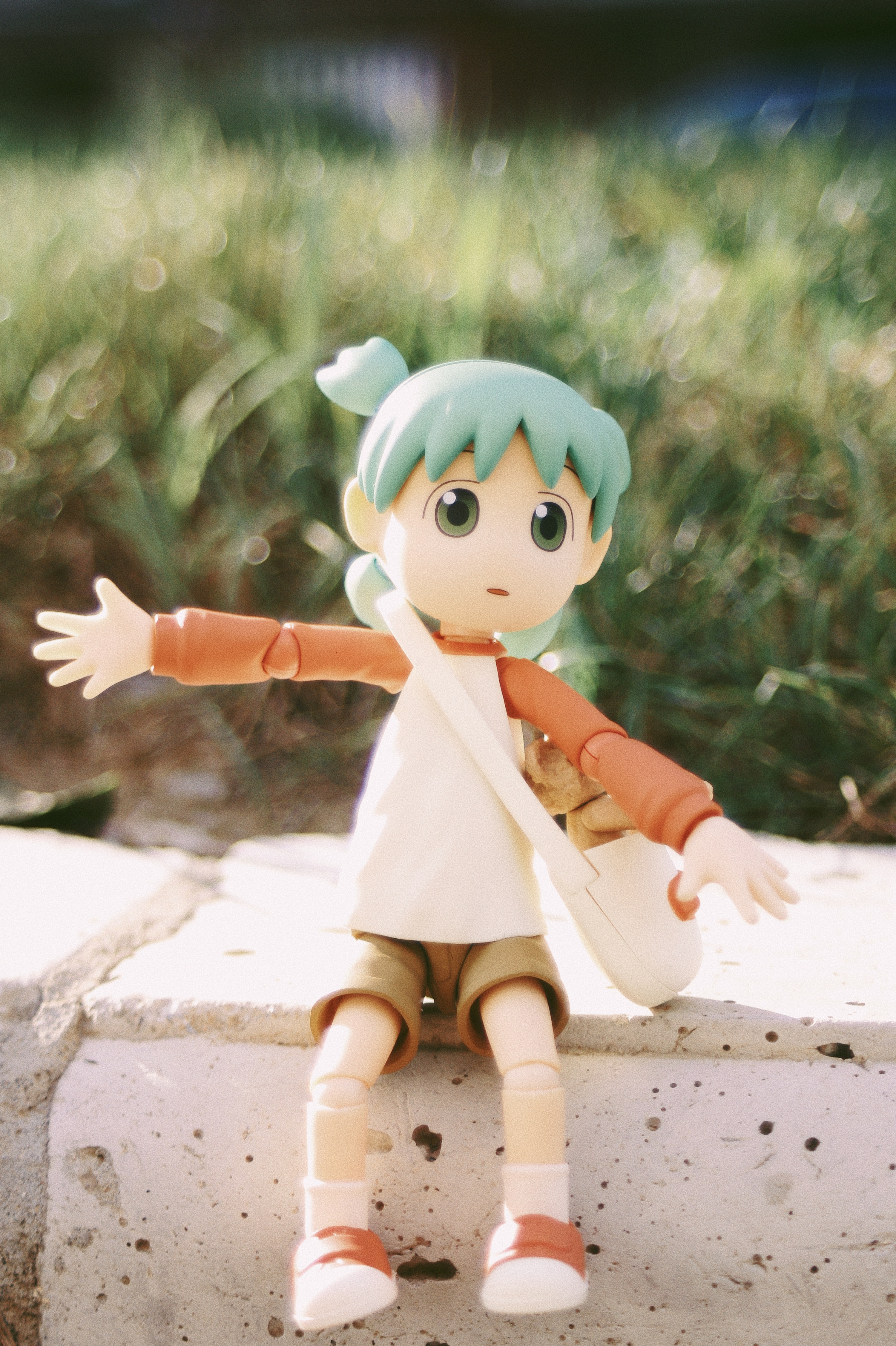 阳光下的四叶妹妹