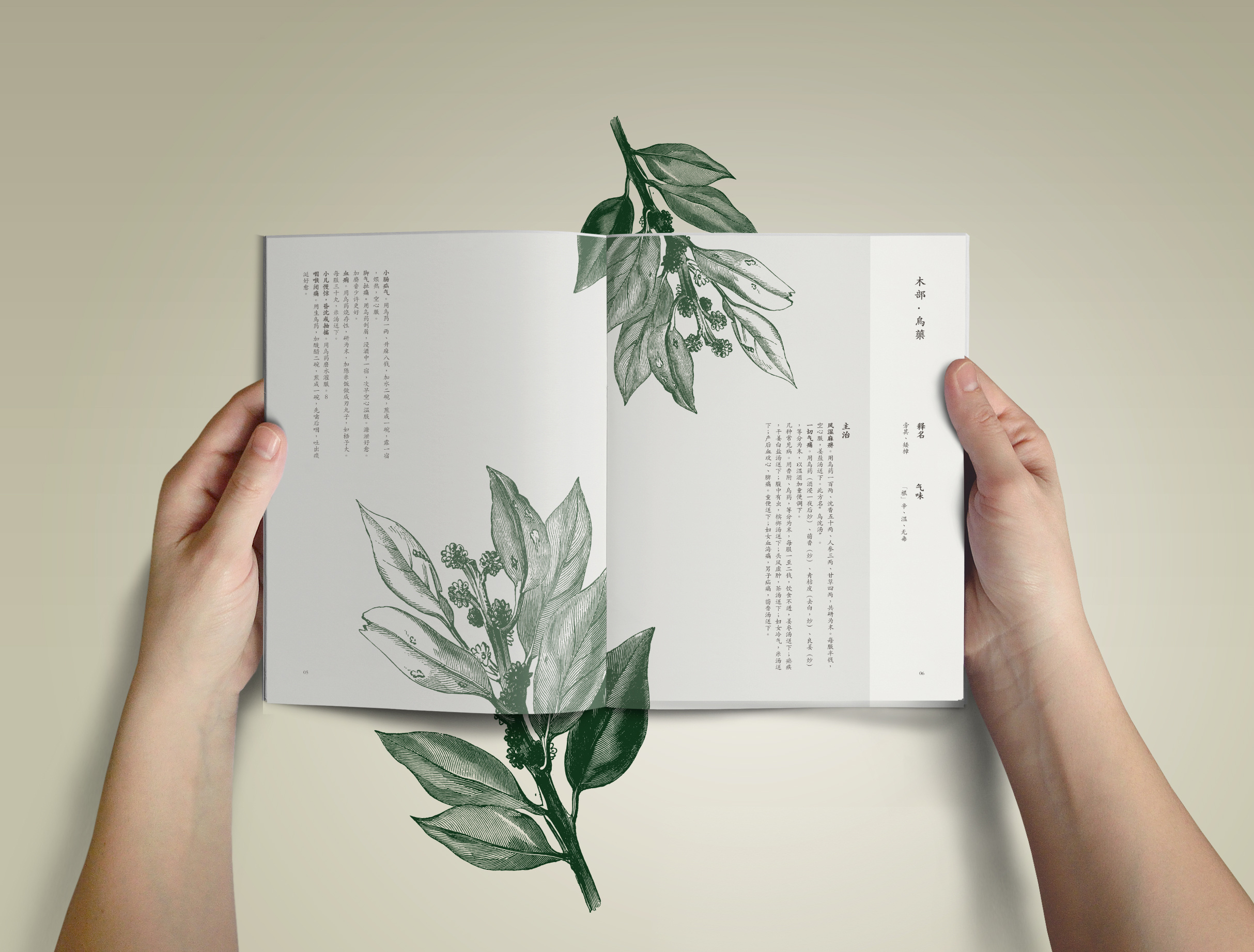 中草药画册|平面|书籍/画册|欧阳威的品牌设计 - 原创作品 - 站酷 (ZCOOL)