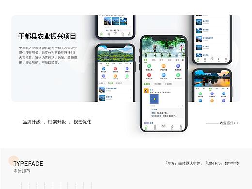 于都县农业振兴项目