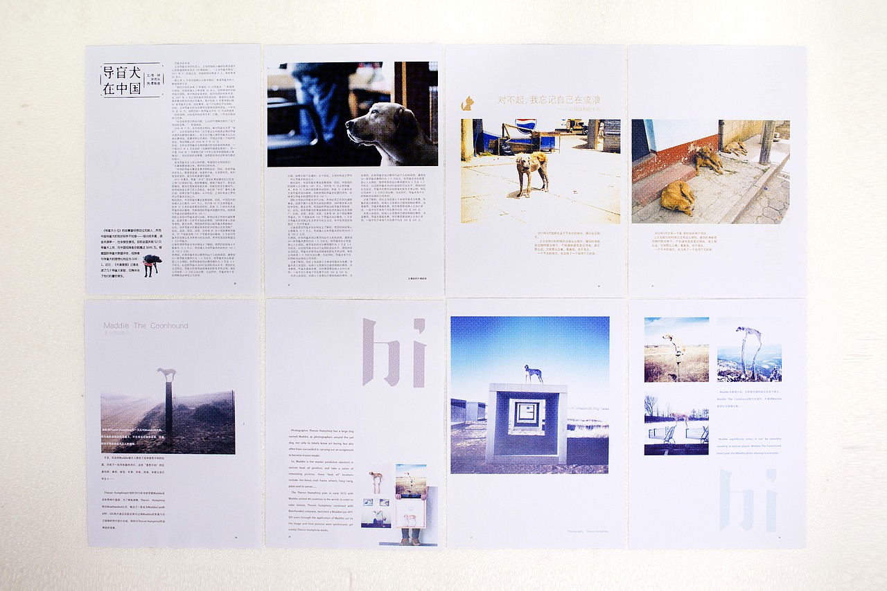 《嘿,犬》杂志版式设计