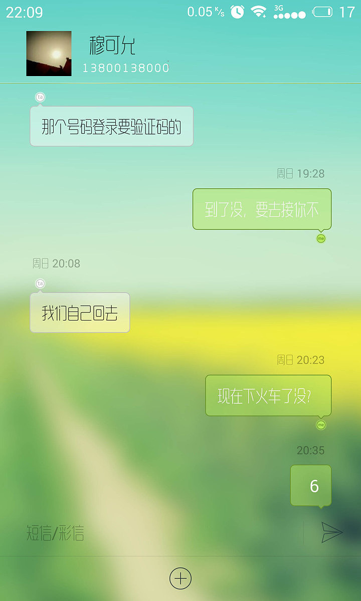 阳光灿烂的日子