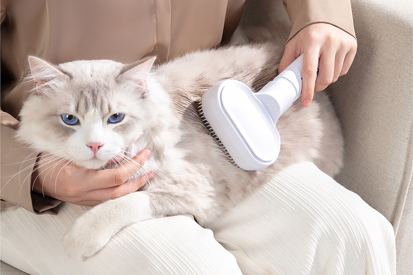 宠物梳子产品拍摄案例（图ZMzQ5ODk1OTYw） - 产品摄影 - 站酷设计师摄影师bill原创素材 - 站酷ZCOOL