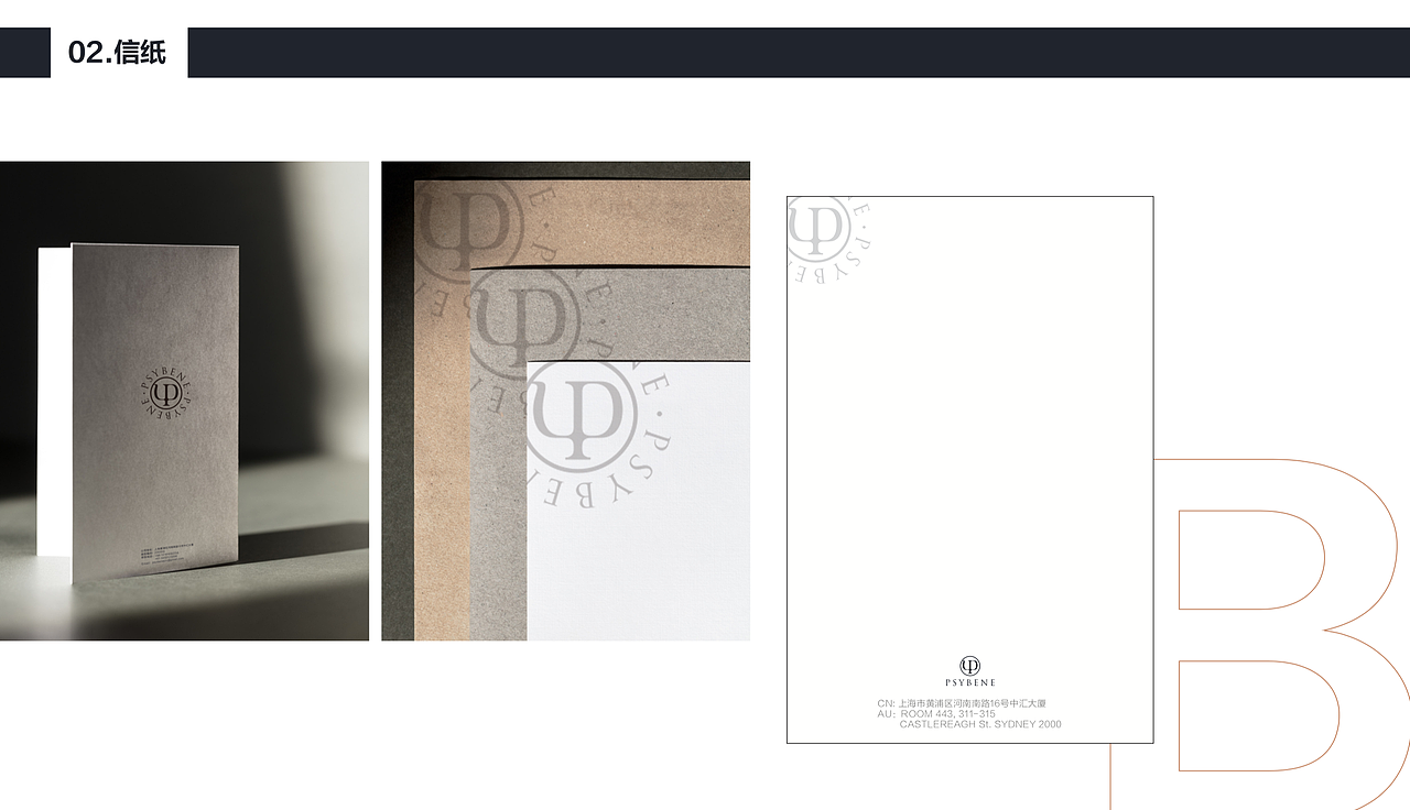 PSYBENE - 泊恩 - VI