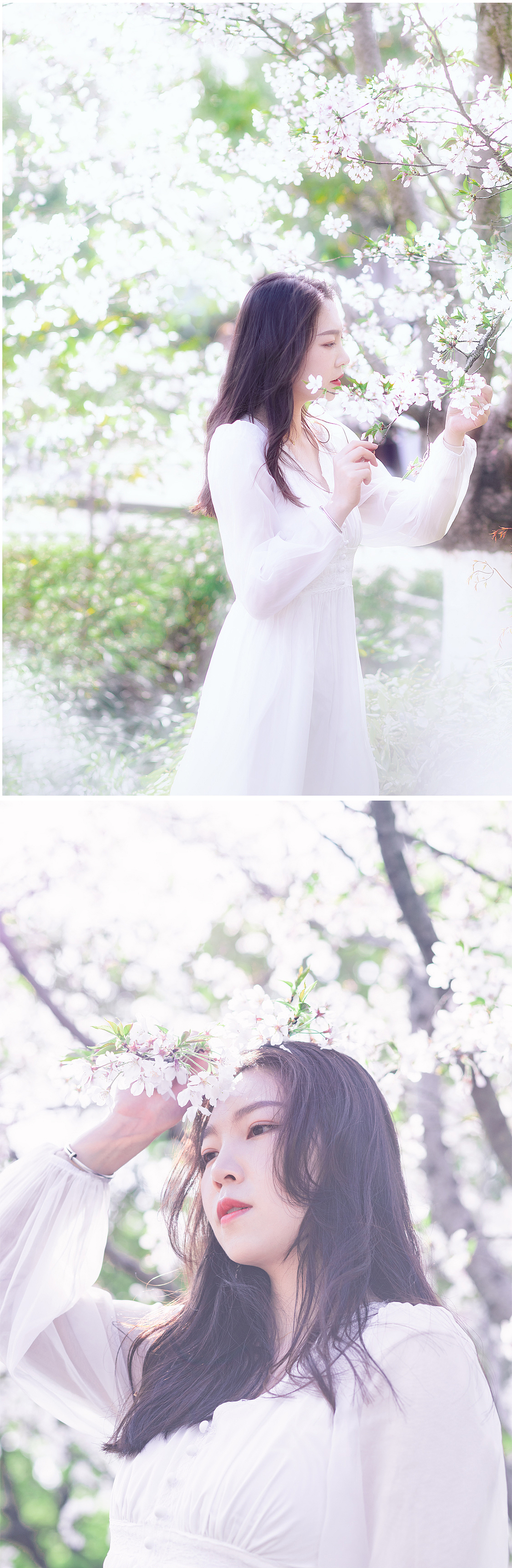 樱花时节（图ZMjU1NTM2NDQ0） - 人像摄影 - 站酷设计师叙语原创素材 - 站酷ZCOOL