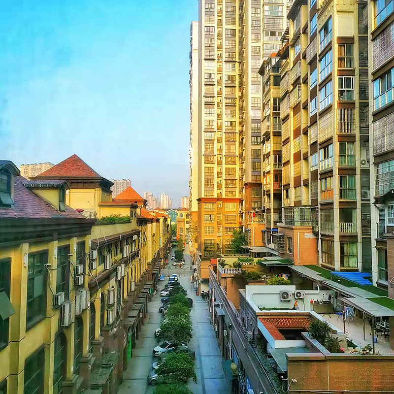 2021年手机摄影总结