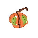 插画师橙意的头像