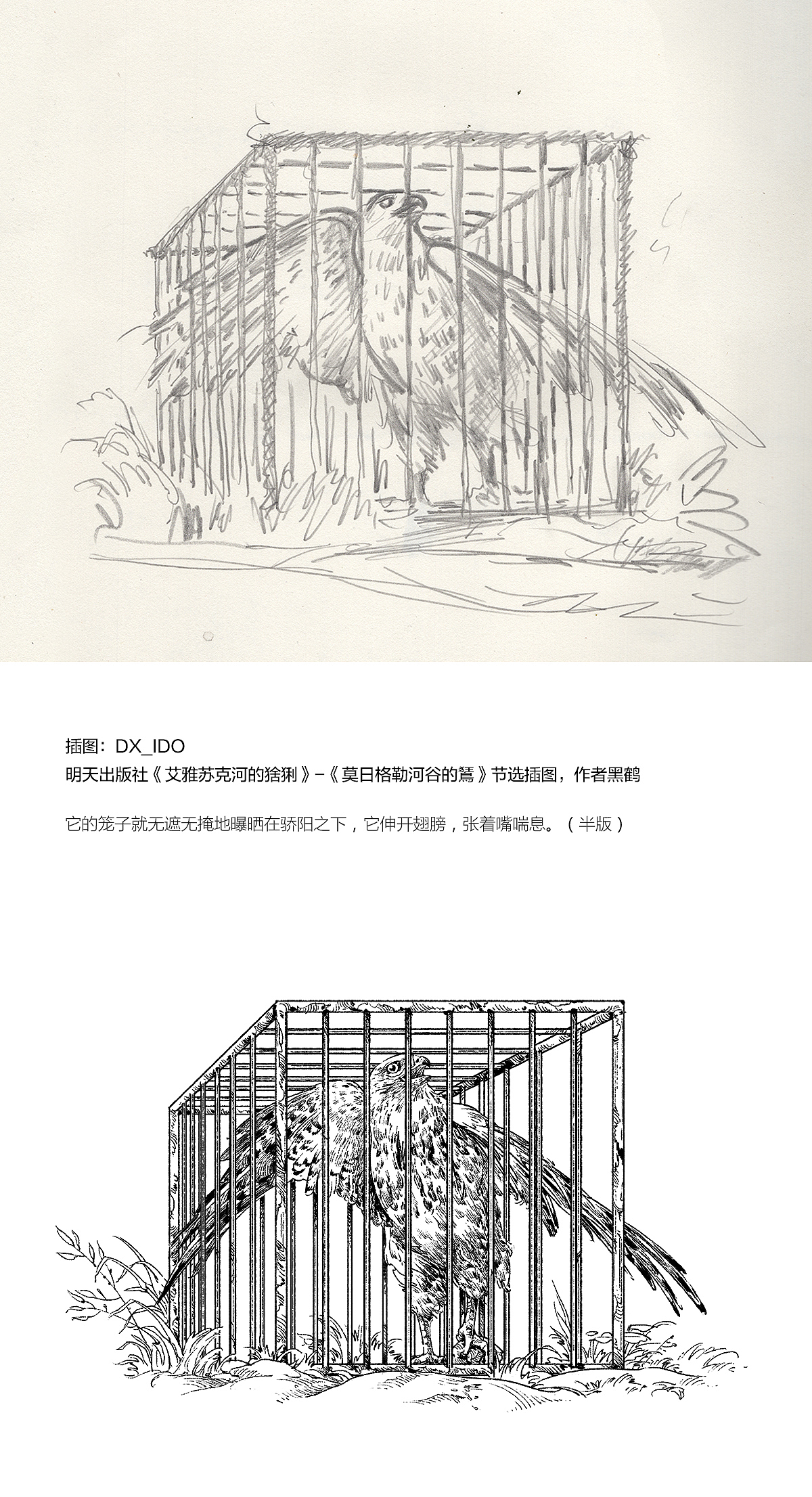 2189 一些插图整理（图ZMTI5NTg5MjQ0） - 绘画 - 站酷设计师DX_IDO原创素材 - 站酷ZCOOL