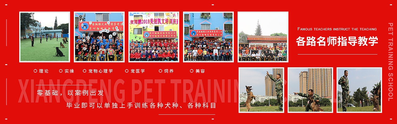 宠物banner（图ZMTU4ODMzNjU2） - 运营设计 - 站酷设计师夏沫的微笑原创素材 - 站酷ZCOOL