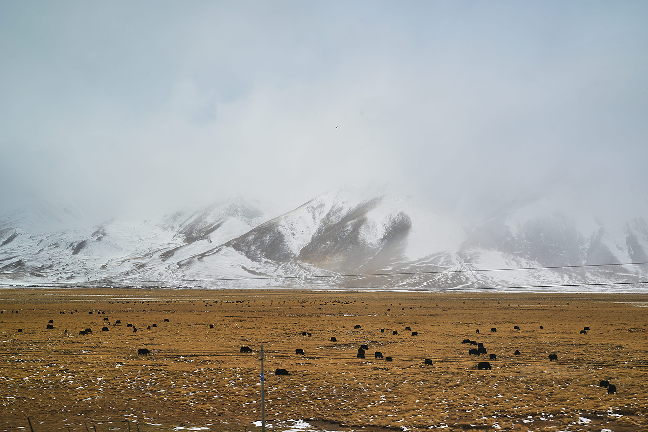 关于冬日的青藏铁路/青藏线-车厢上拍摄