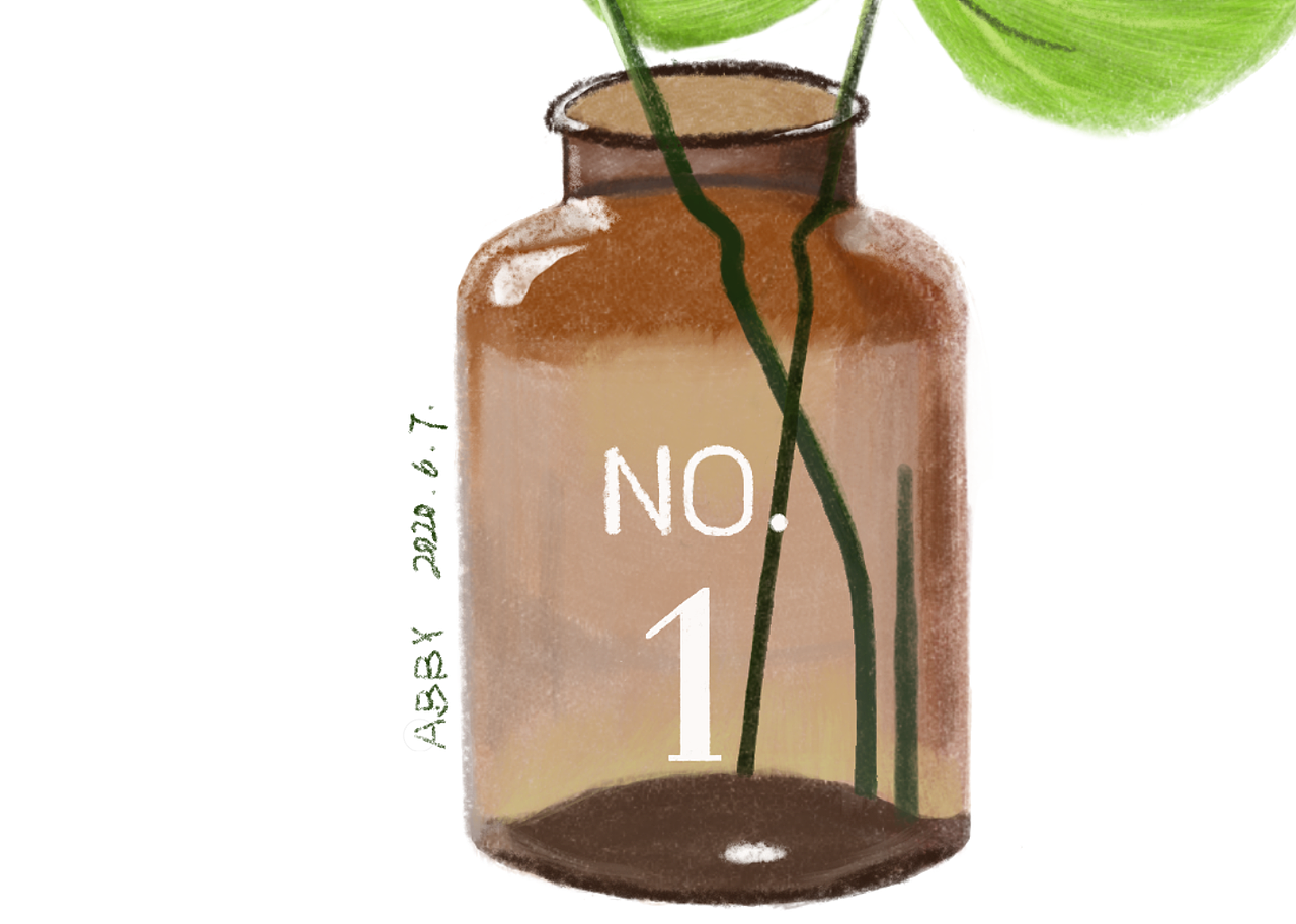 ins风格北欧色彩玻璃瓶插绿色叶子植物写实