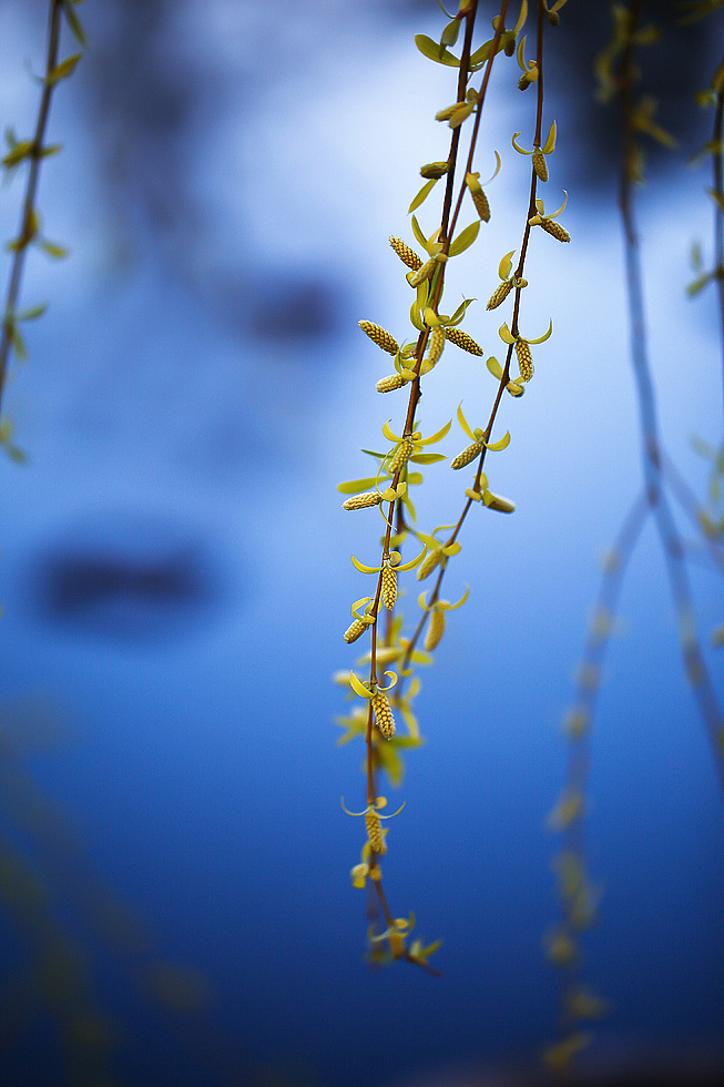 又一次四季轮回