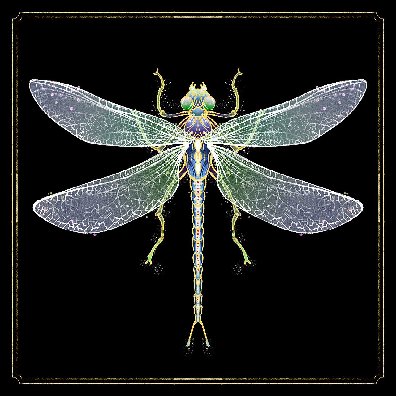 昆虫插画（图ZMzU0NDM5OTUy） - 创作习作 - 站酷设计师匡杨杨原创素材 - 站酷ZCOOL