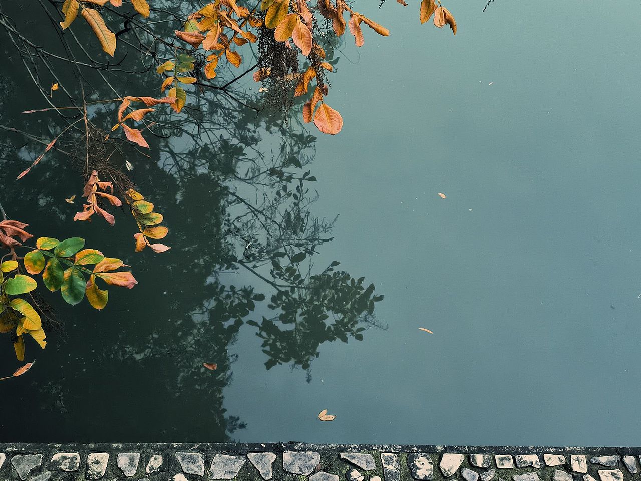 有些是摄影 有点是画