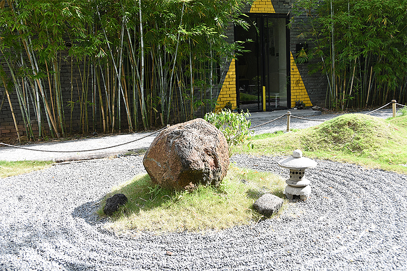 摄影作品《夏天—绿色》