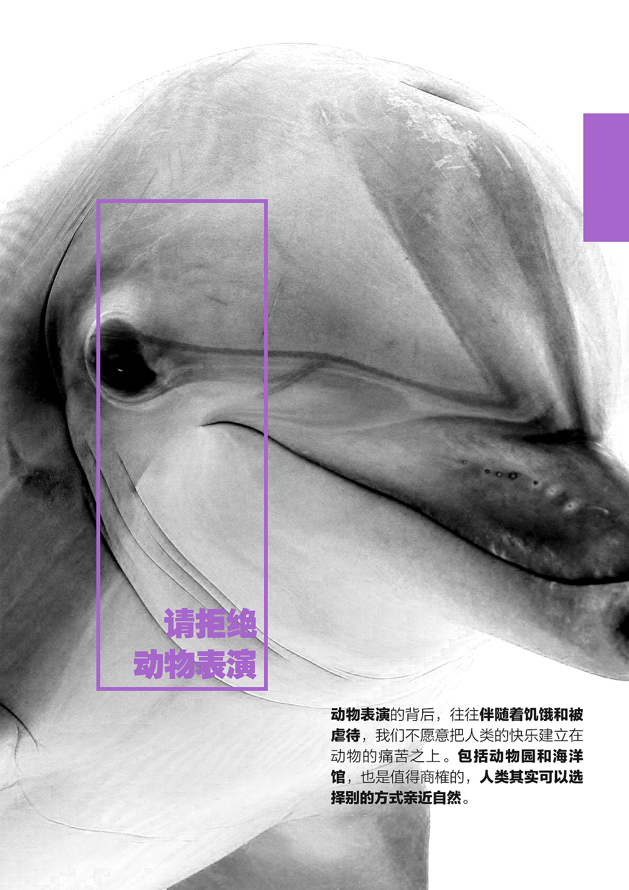 一组动物保护海报（图ZNTc1NjkwNjQ=） - 海报 - 站酷设计师mandowla原创素材 - 站酷ZCOOL