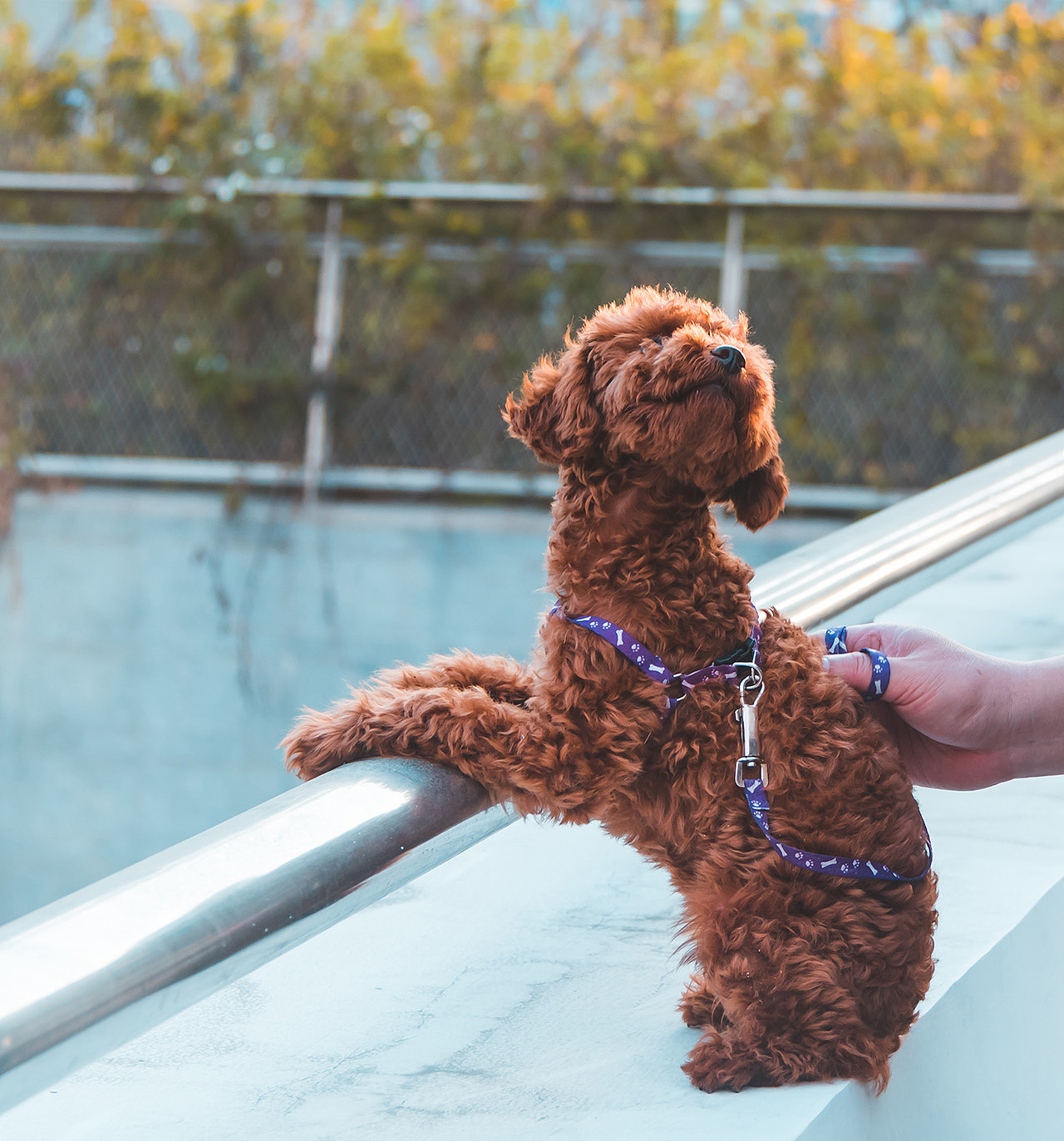 海上世界丨春节瞎逛游玩摄影(二)
