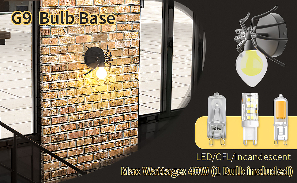 亚马逊蜘蛛壁灯图集