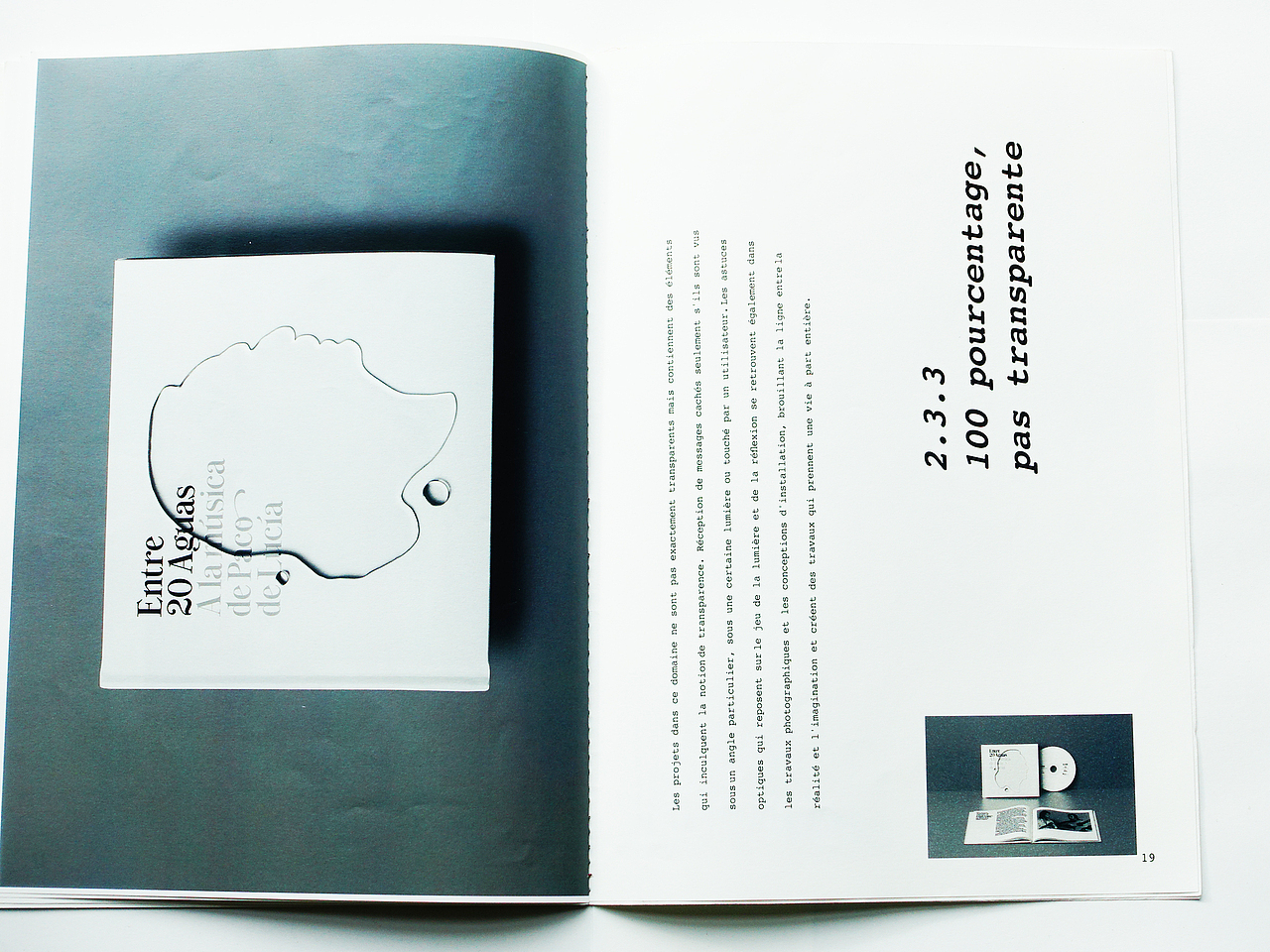 Graduation thesis,毕业论文关于透明设计排版设计（图ZMTE0OTU4MjQ4） - 书籍/画册 - 站酷设计师JaclynLin原创素材 - 站酷ZCOOL