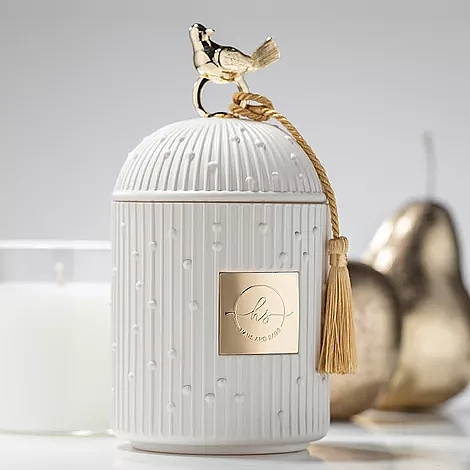 为美国奢侈香薰品牌定制《小鸟罐香薰系列》（图ZMjkzNDczMDEy） - 生活用品 - 站酷设计师张小军ROYZHANG原创素材 - 站酷ZCOOL