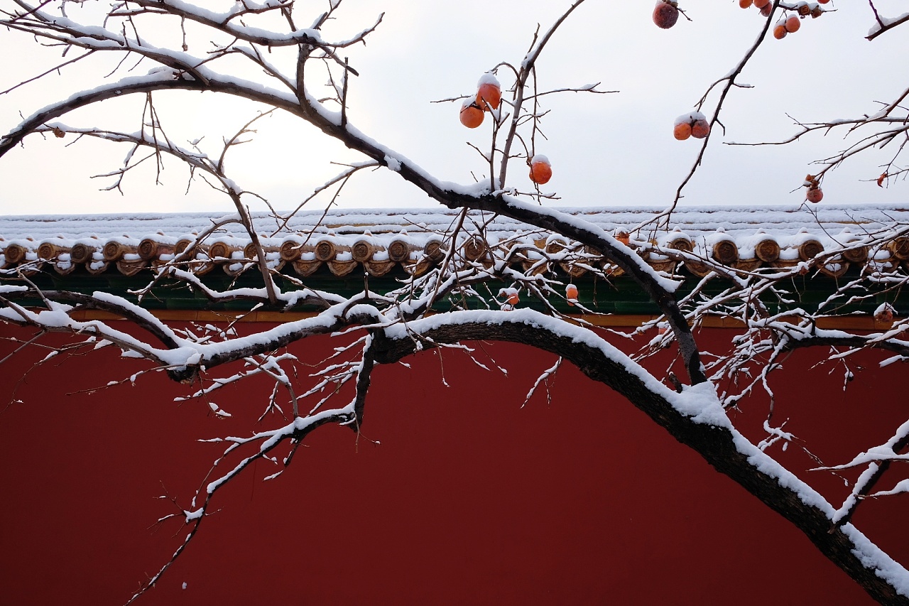 故宫周边雪景|摄影|风光|维多利亚吖 - 原创作品 - 站酷 (ZCOOL)