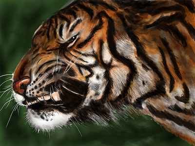 这是第一幅正儿八经坐那第一次用手绘板…………临摹的照片,感谢这个第一次