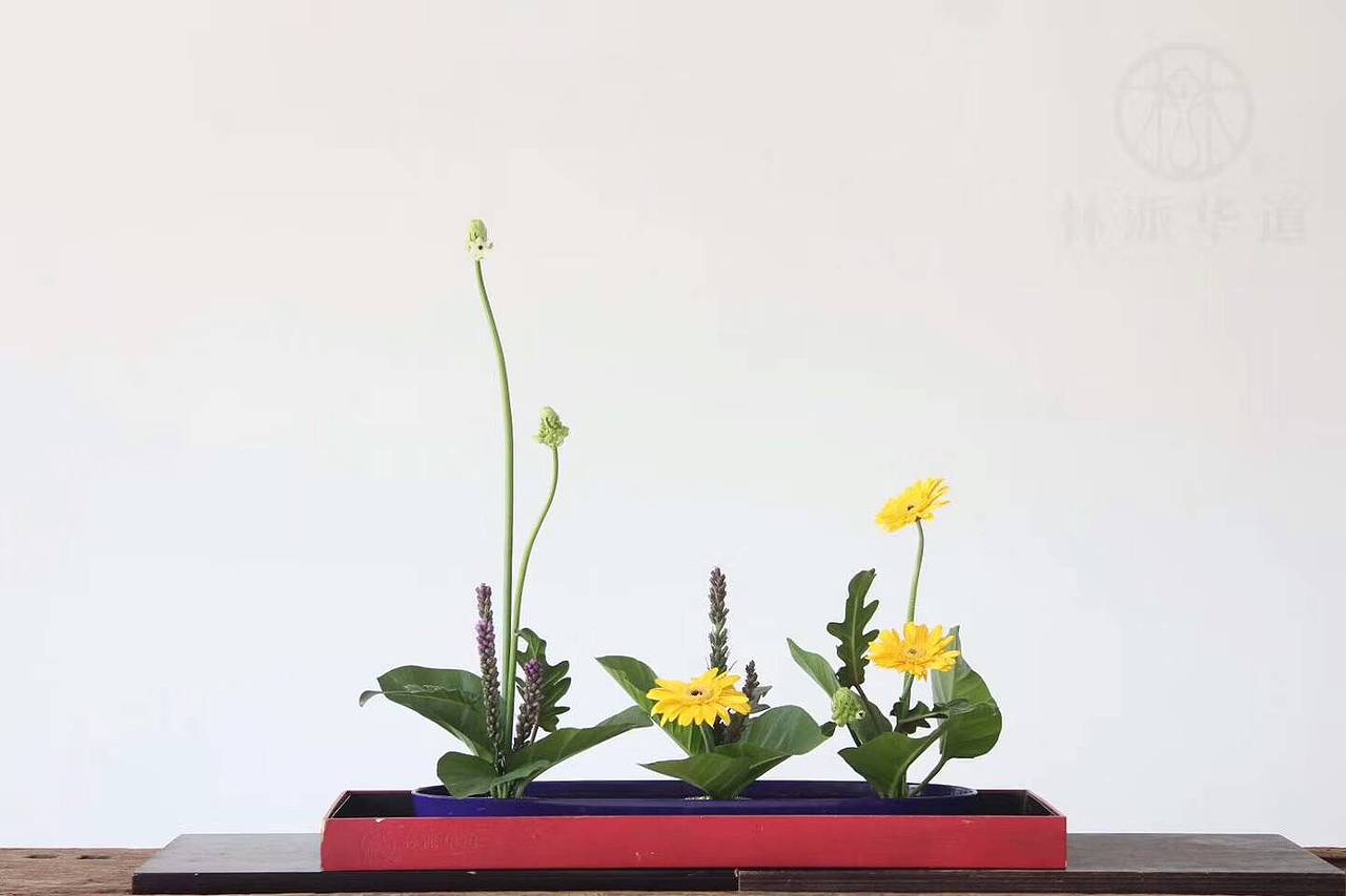 林派花道作品赏析——佛前供花（图ZOTU2MTI5Njg=） - 其他手工艺 - 站酷设计师中国林派花道原创素材 - 站酷ZCOOL