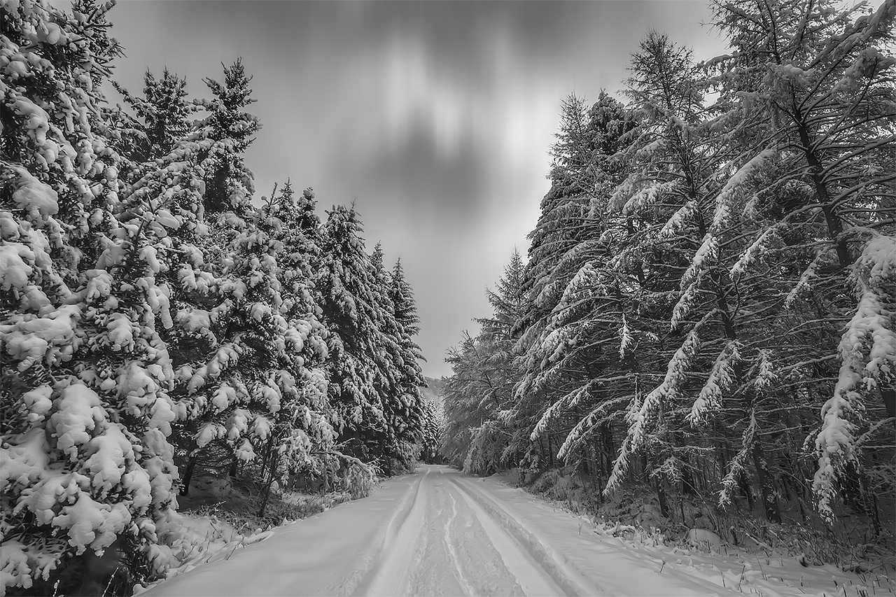 你那里下雪了吗