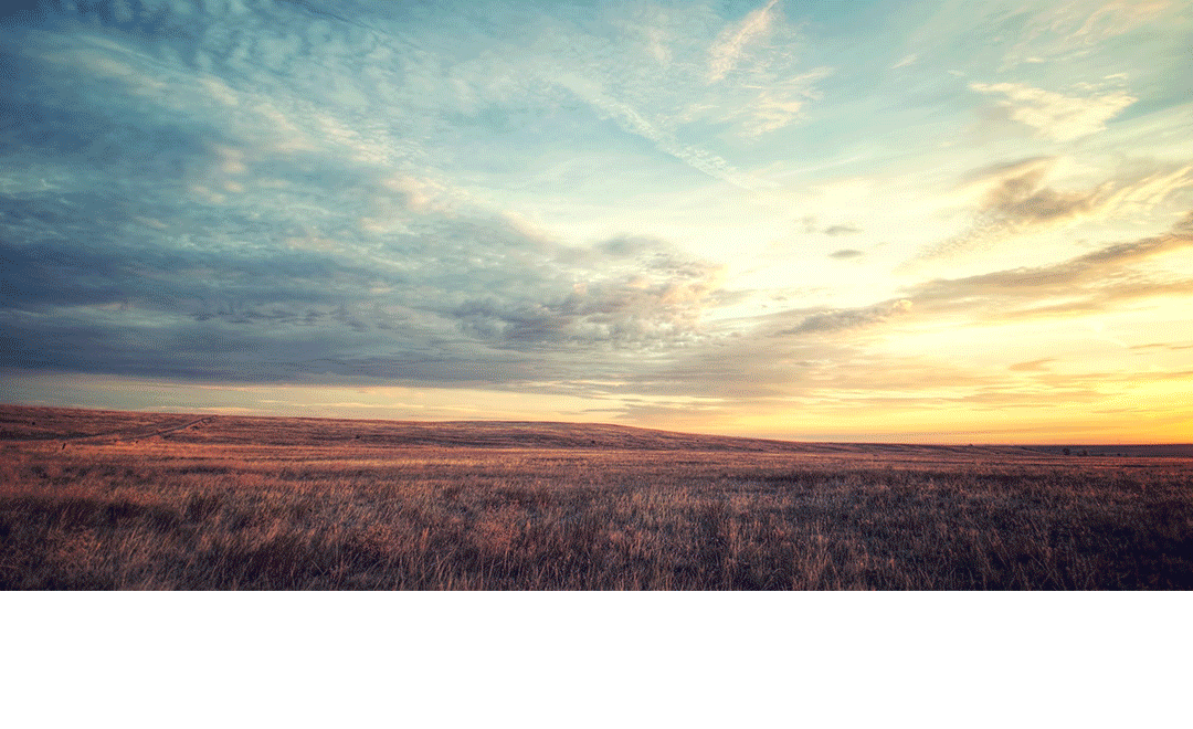 合成+手绘练习+c4d建模