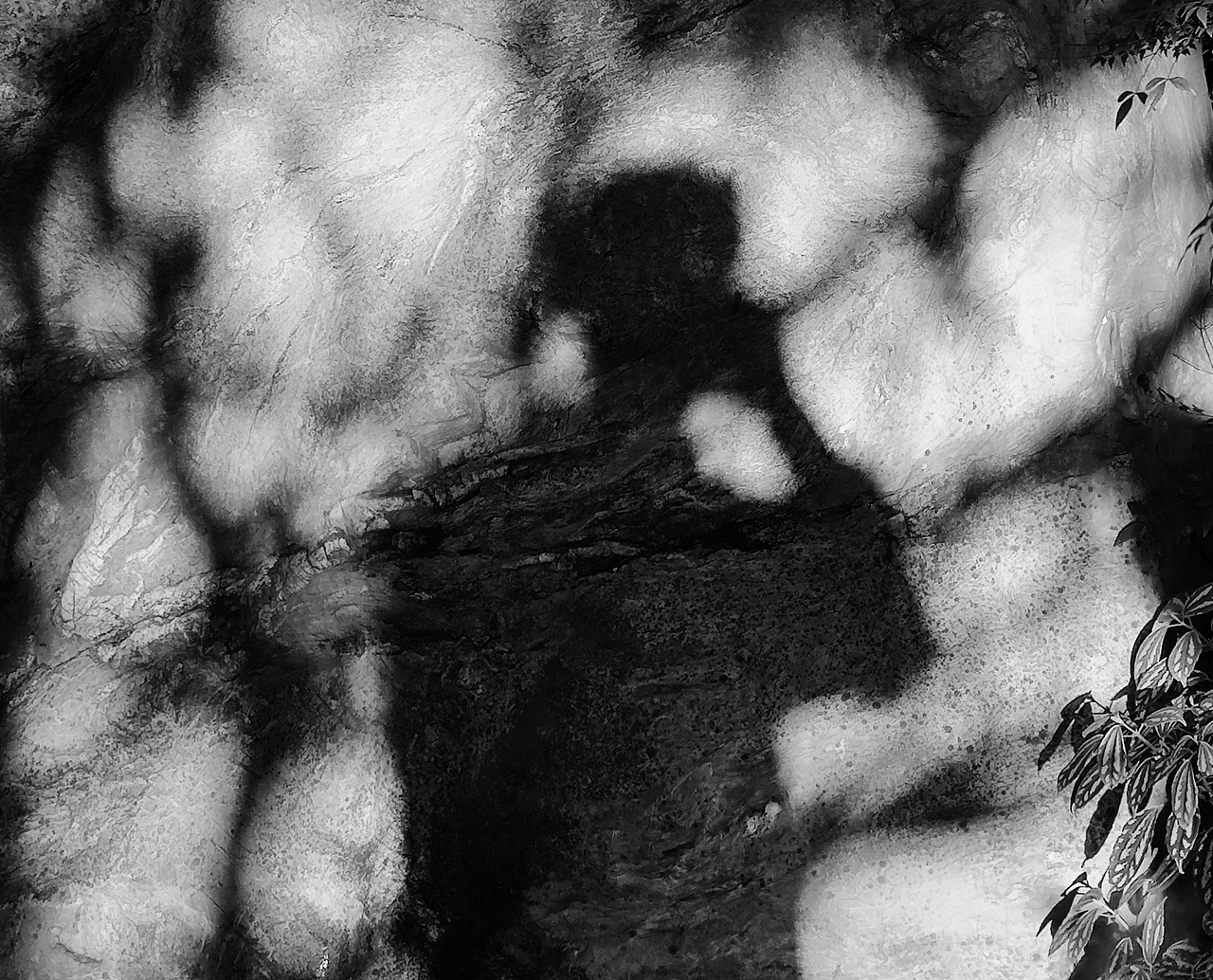 分享一组来自小米10至尊纪念版拍摄的照片