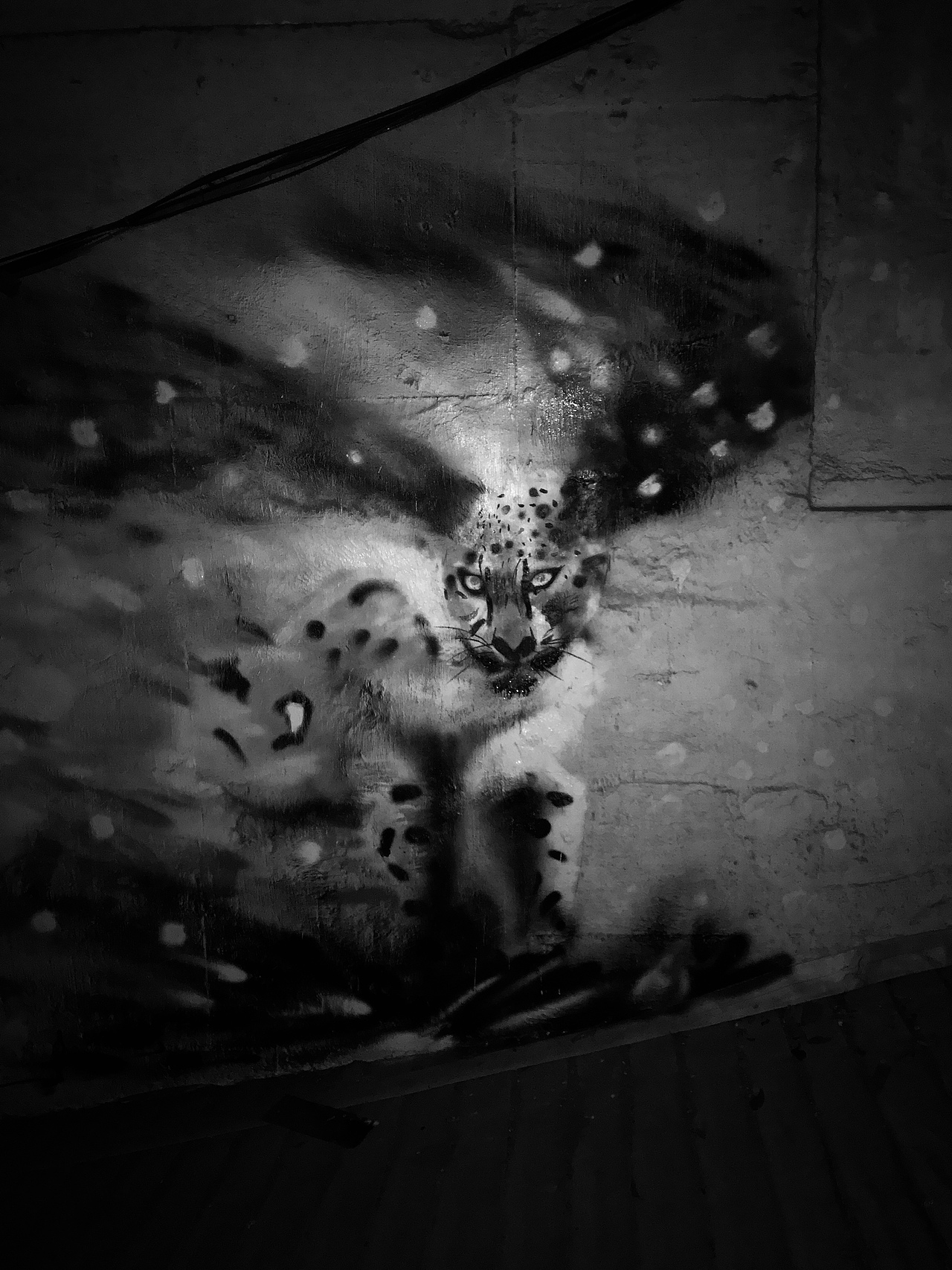 Graffiti——雪豹（图ZMTQ5OTg0NTIw） - 其他 - 站酷设计师李Jarvis原创素材 - 站酷ZCOOL