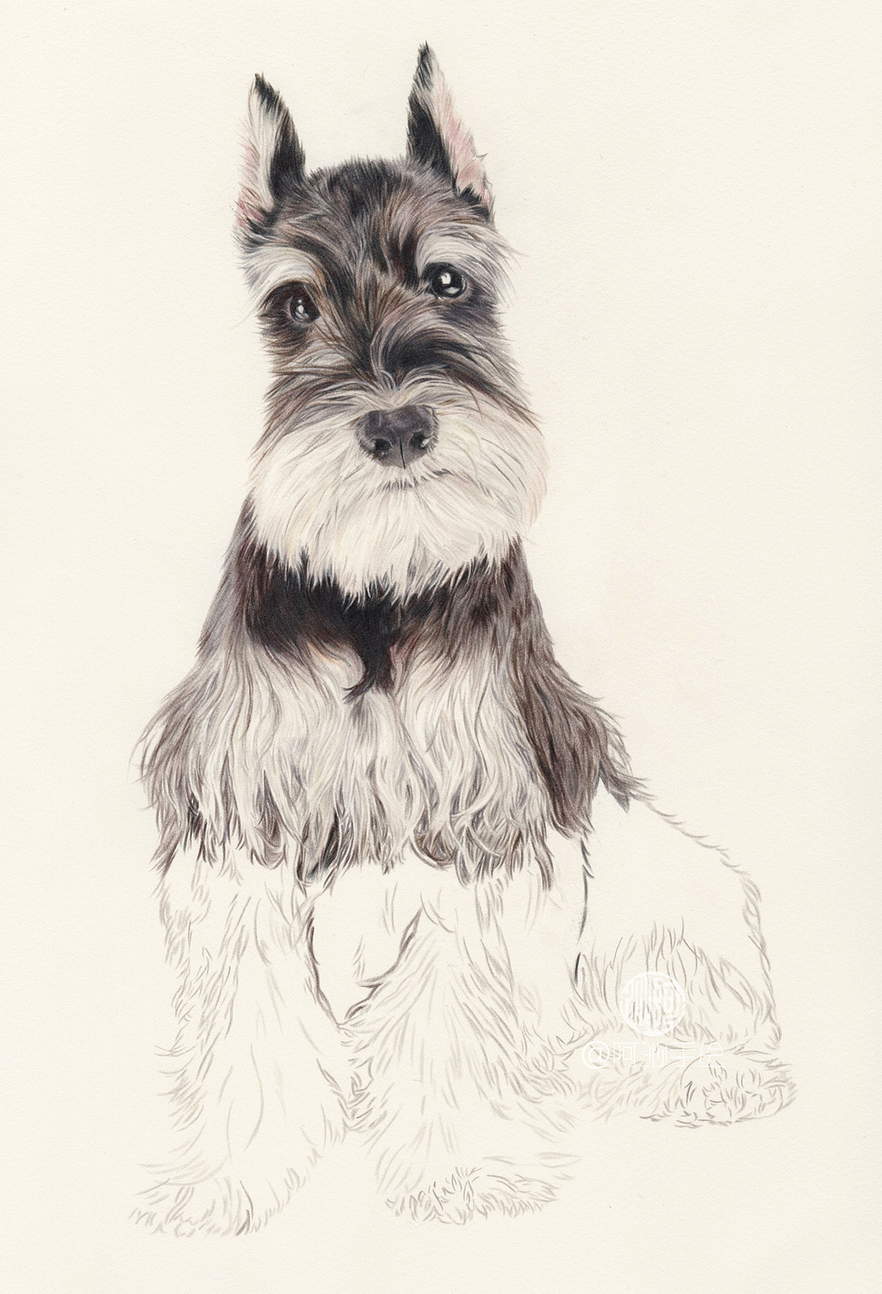 三只小型犬-阿沁作品（图ZMTEwOTYzNjgw） - 绘画 - 站酷设计师煜芮原创素材 - 站酷ZCOOL