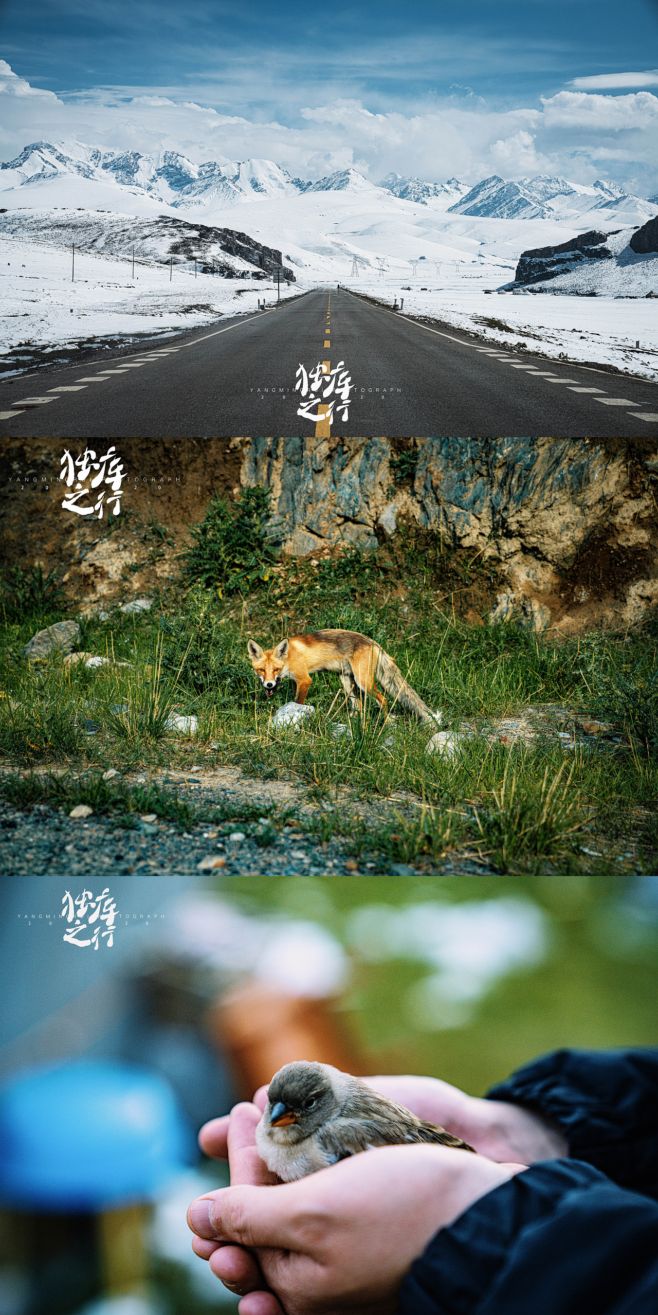 那些回忆中的2020，旅行的路上作品合集（图ZMjM5NjMyNDYw） - 风光摄影 - 站酷设计师AetherRui原创素材 - 站酷ZCOOL