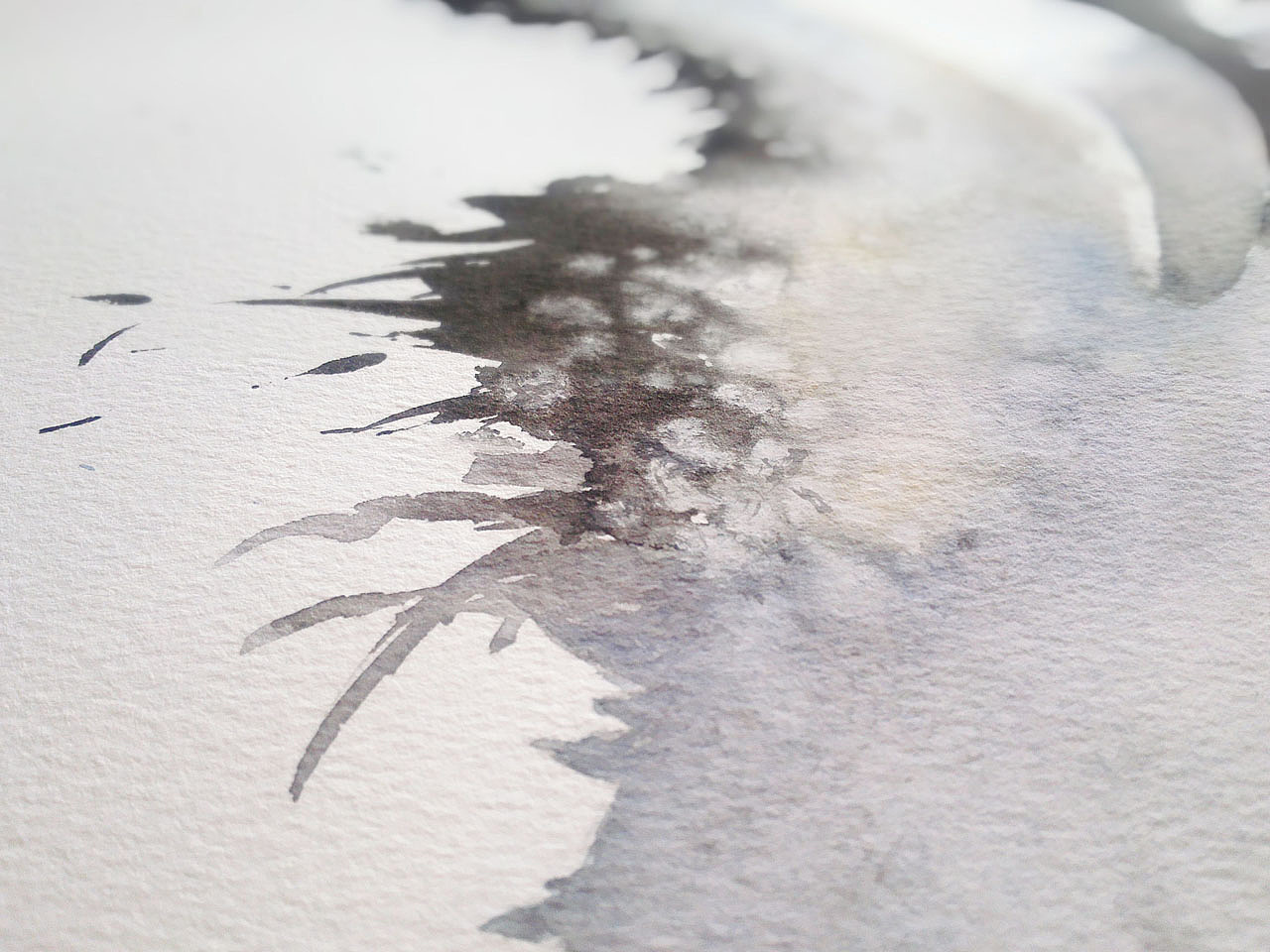 【一行写意水彩画】黑颈鹤——云在青天水在瓶（图ZMTQ1ODk2MjE2） - 绘画 - 站酷设计师一行EXE原创素材 - 站酷ZCOOL