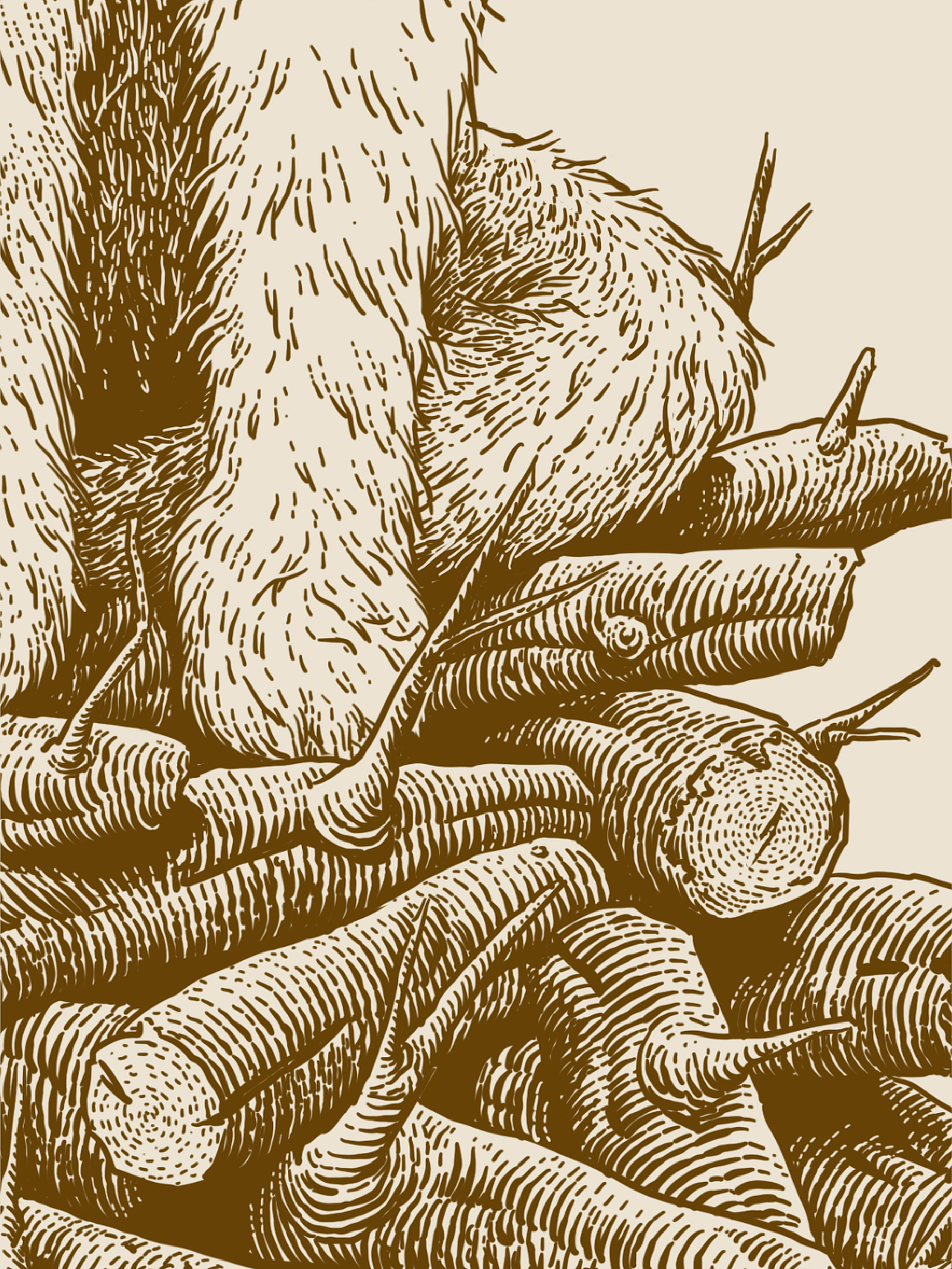 原创插画｜木棍收集器（图ZMjgwMzAzMzI4） - 商业插画 - 站酷设计师花椒的Alex原创素材 - 站酷ZCOOL