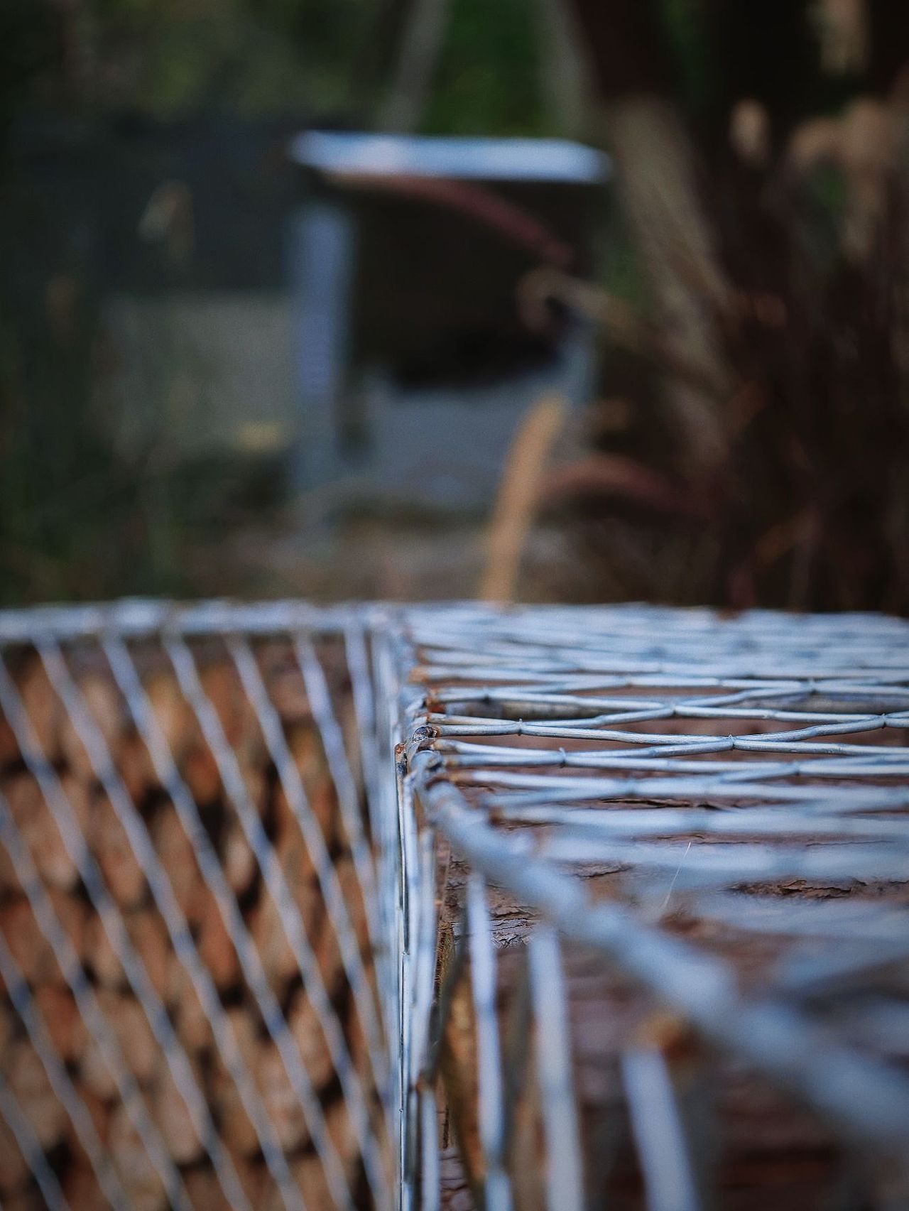 扫街摄影—三垟湿地+墨池公园+和合文化园（图ZMzU3MDM3MTM2） - 风光摄影 - 站酷设计师不知名的王某人原创素材 - 站酷ZCOOL