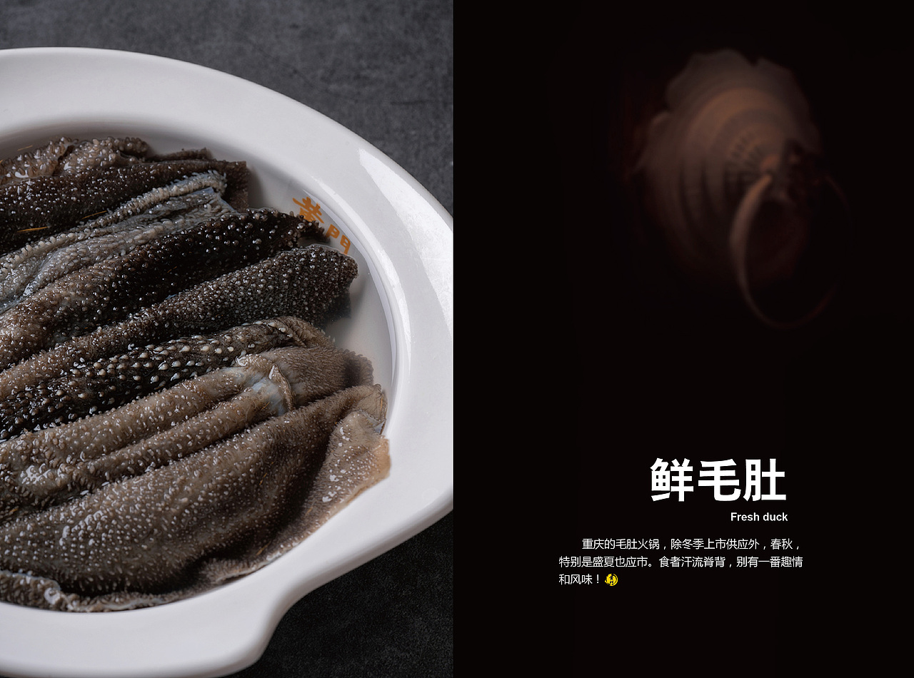 【手册】老灶火锅产品手册（图ZMTE5ODkzODYw） - 书籍/画册 - 站酷设计师韩欧文原创素材 - 站酷ZCOOL