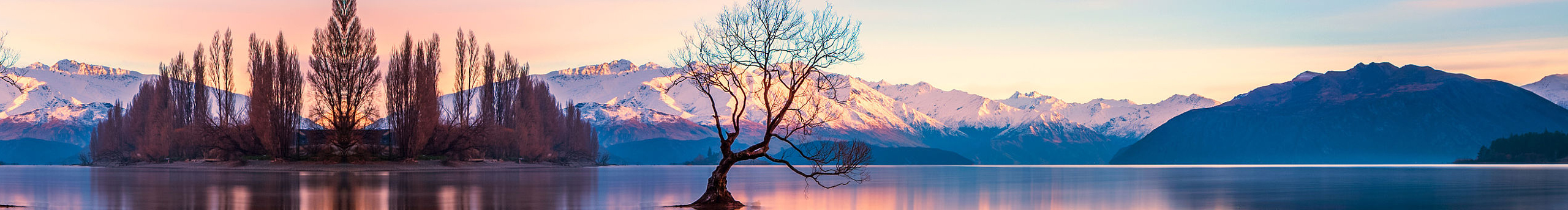 Gina_娜的個人主頁（封面預覽） - 主頁封面設(shè)置 - 站酷設(shè)計師Gina_娜原創(chuàng)素材 - 站酷ZCOOL