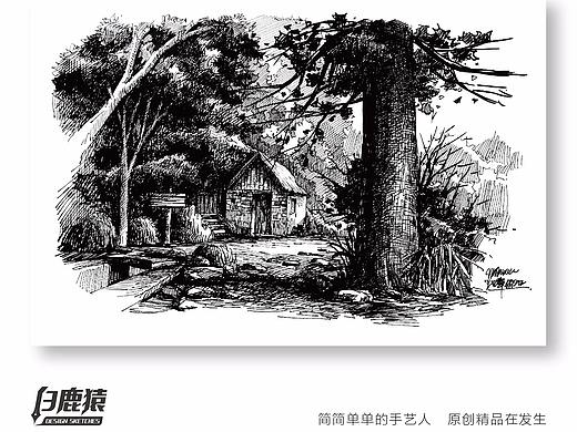 《幽寂》森林钢笔画表现---白鹿猿钢笔绘画教程（二）