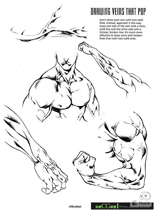 人体结构1（图ZMTkyNTQzNTA4） - 创作习作 - 站酷设计师御猫神原创素材 - 站酷ZCOOL