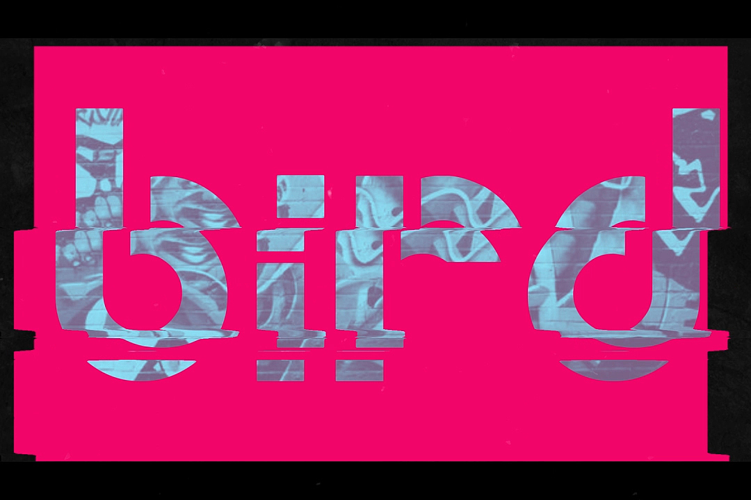 音乐节奏与影像-BIRD（图ZMjMxNTUyNjI4） - 影视后期 - 站酷设计师Sickey547原创素材 - 站酷ZCOOL