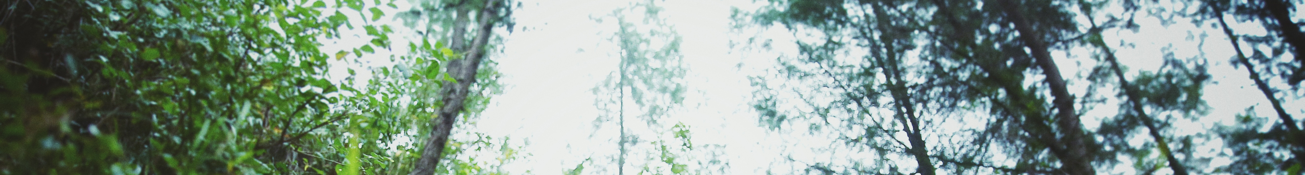 Simple森柏的個人主頁（封面預(yù)覽） - 主頁封面設(shè)置 - 站酷設(shè)計師Simple森柏原創(chuàng)素材 - 站酷ZCOOL