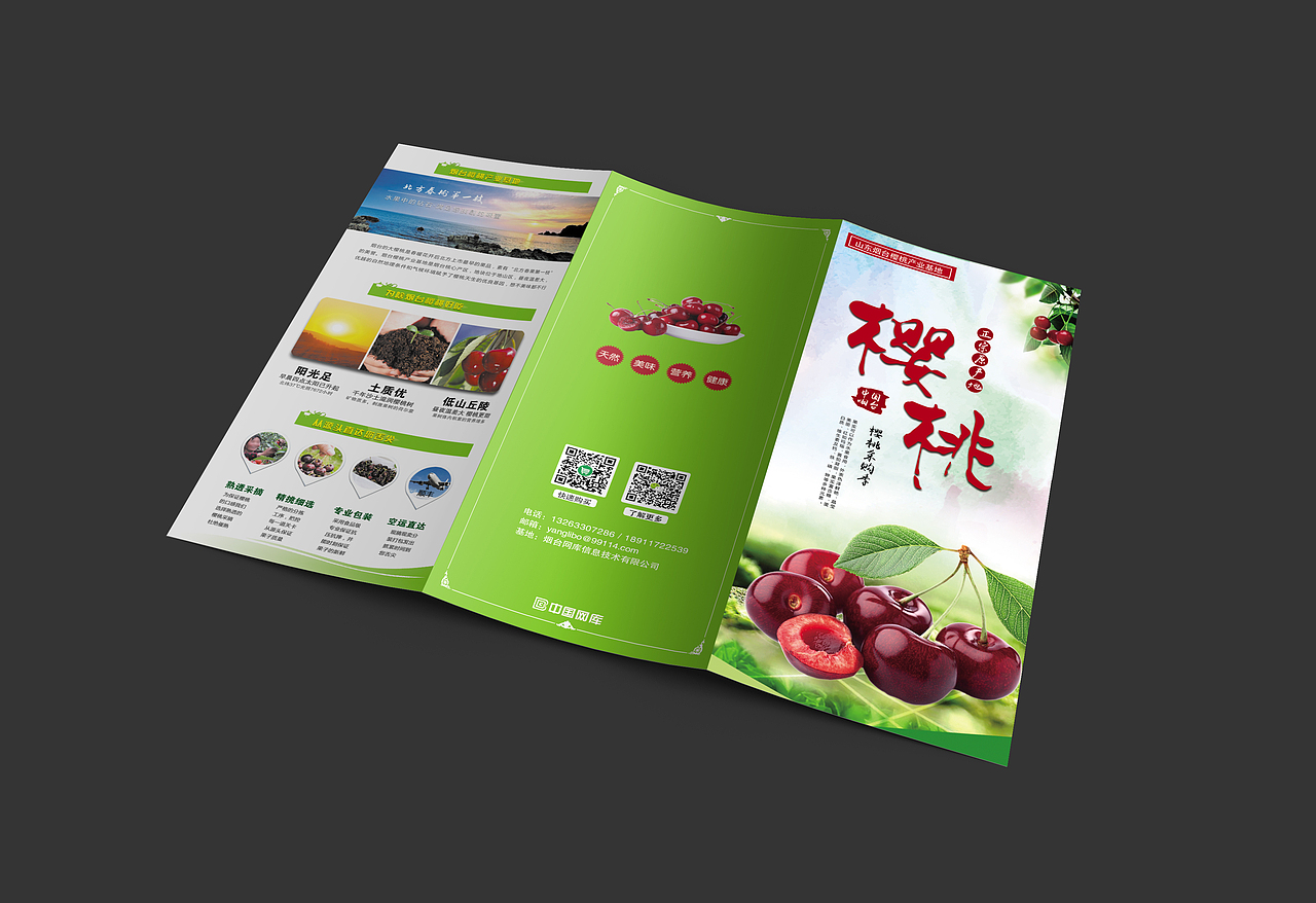 线下物料系列-画册/折页/易拉宝