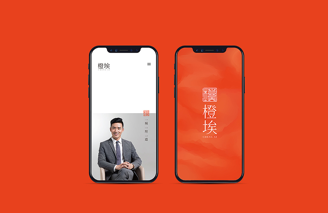 橙埃企业管理品牌形象设计