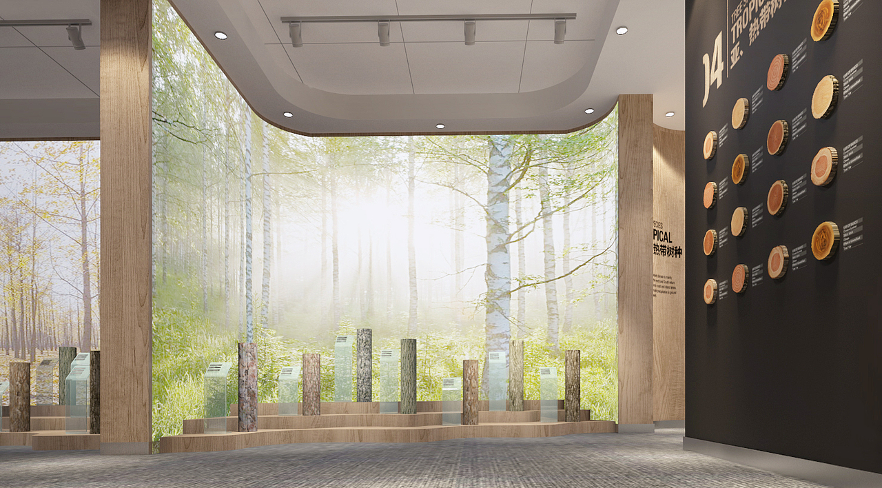 热带木种展示区