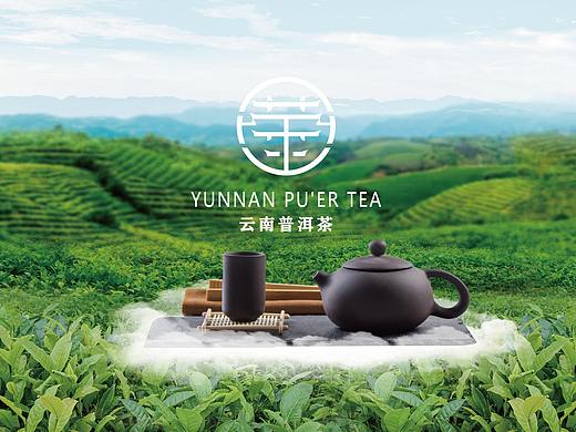 云南普洱茶品牌设计方案