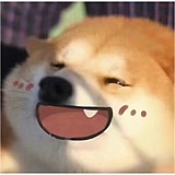 老晔的头像