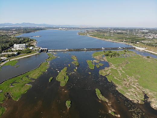 泰安大汶河湿地公园 北集坡湿地公园航拍美丽风景