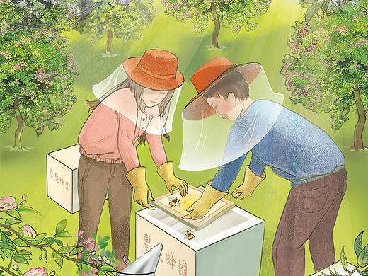 台湾蜂蜜商业插画