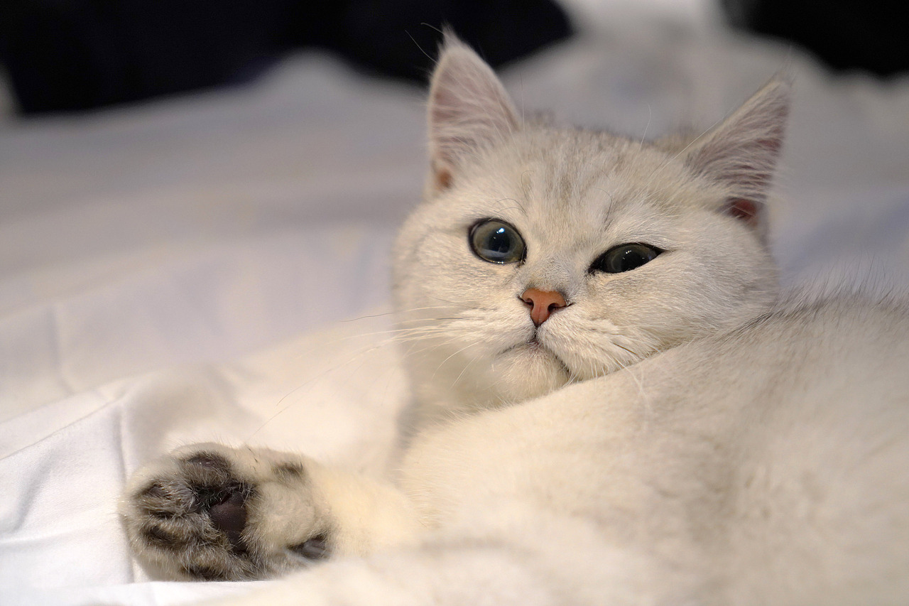 摄于六个月—哔哩