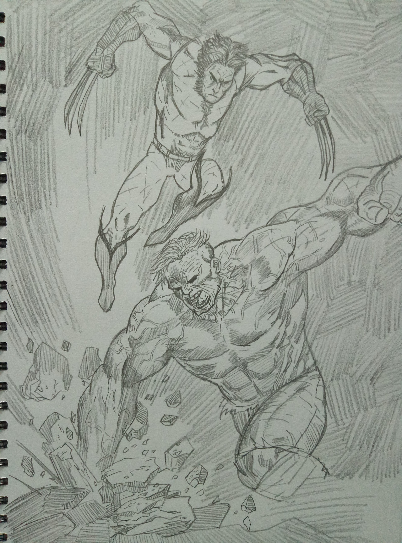 树莓迷茫大四狗